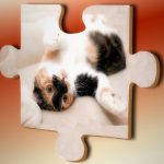 un pezzo di puzzle con la fotografia di un gatto